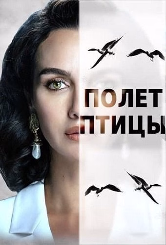 «Полёт птицы» постері