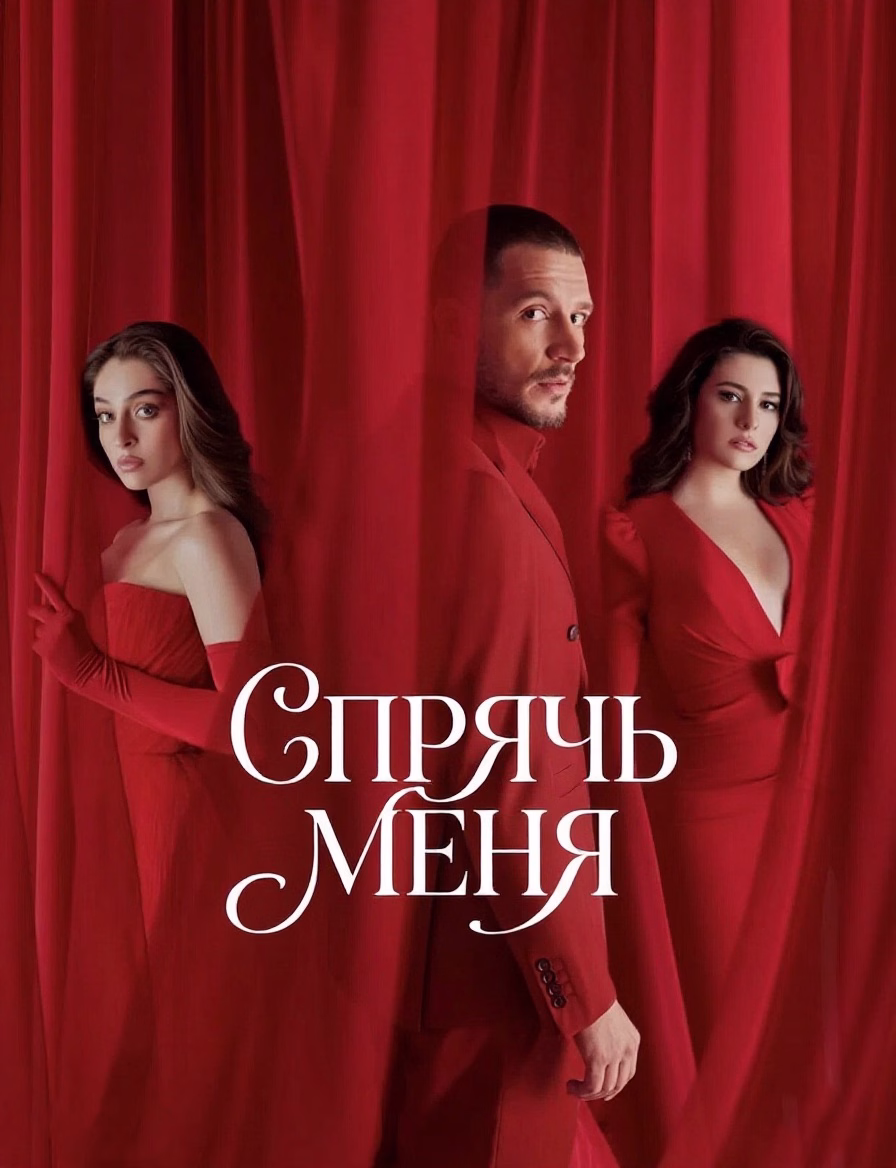Постер Спрячь меня